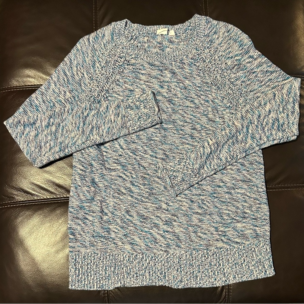 GAP Blue and White Women's Sweater size medium NWOT